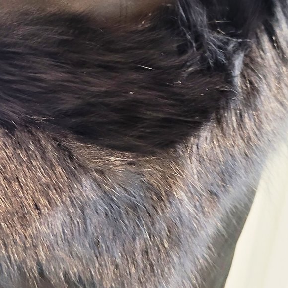 Vintage Black Kid Suede and Black Fox Fur strapless dress Size 4-6 - Picture 4 of 4